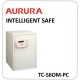 Intelligent Safe TC 56OM-PC